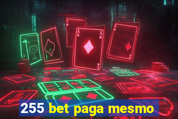 255 bet paga mesmo